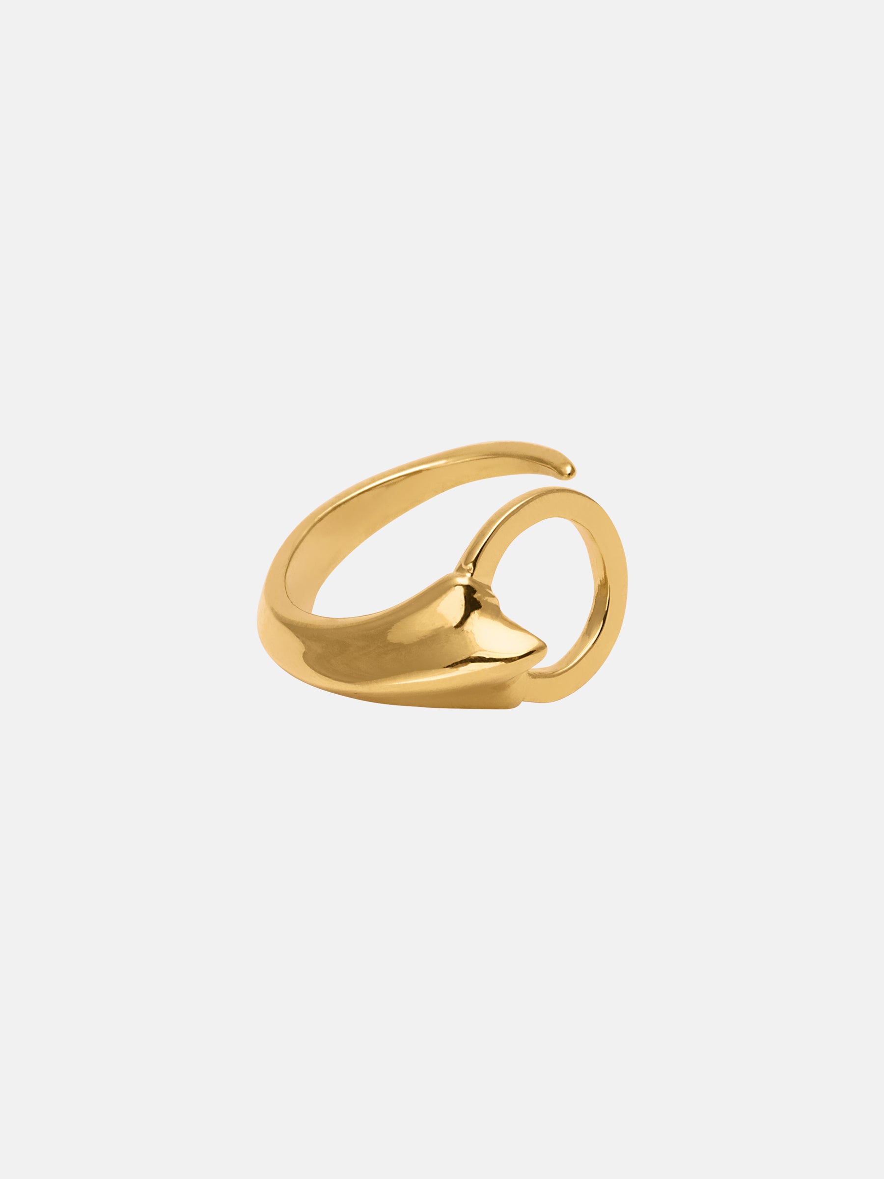 Vessel Ring