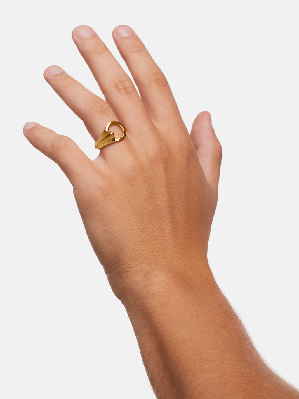 Vessel Ring