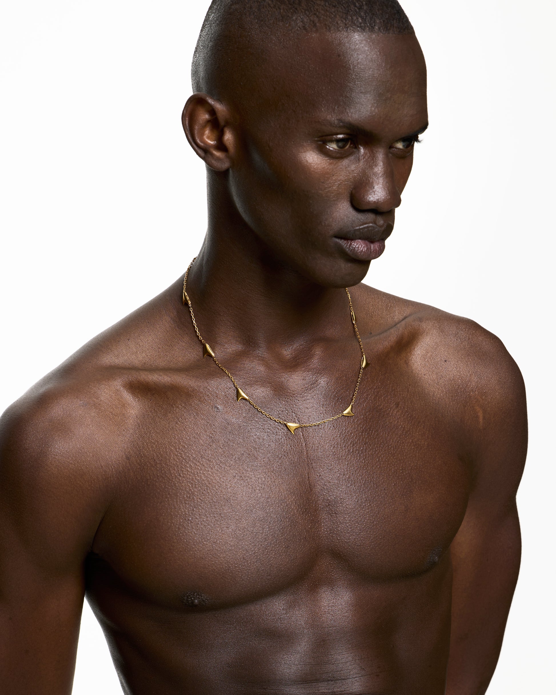 Chain of Thorns Necklace (M)