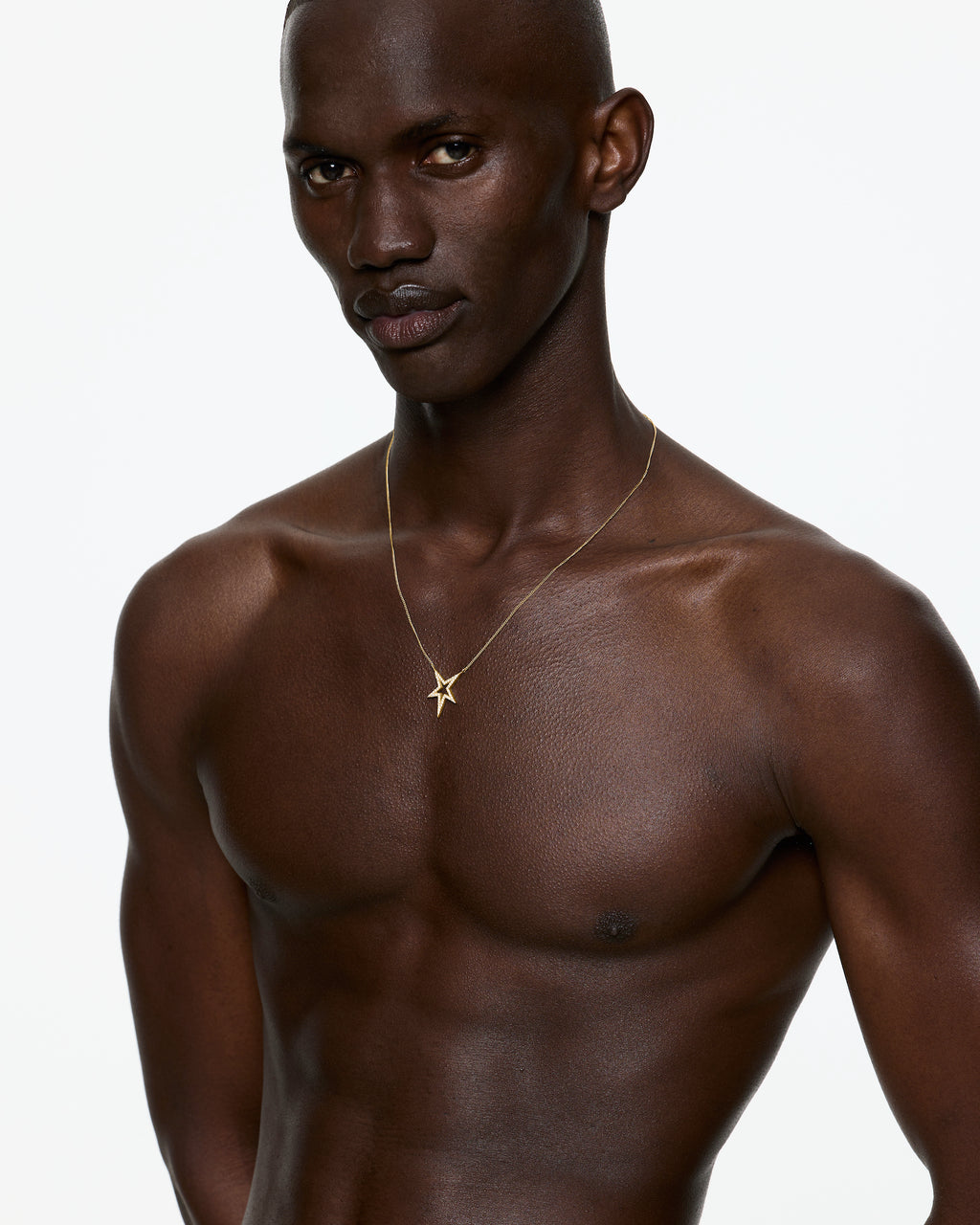 Lucky Star Black CZ Encrusted Necklace – Gold Vermeil - Sale