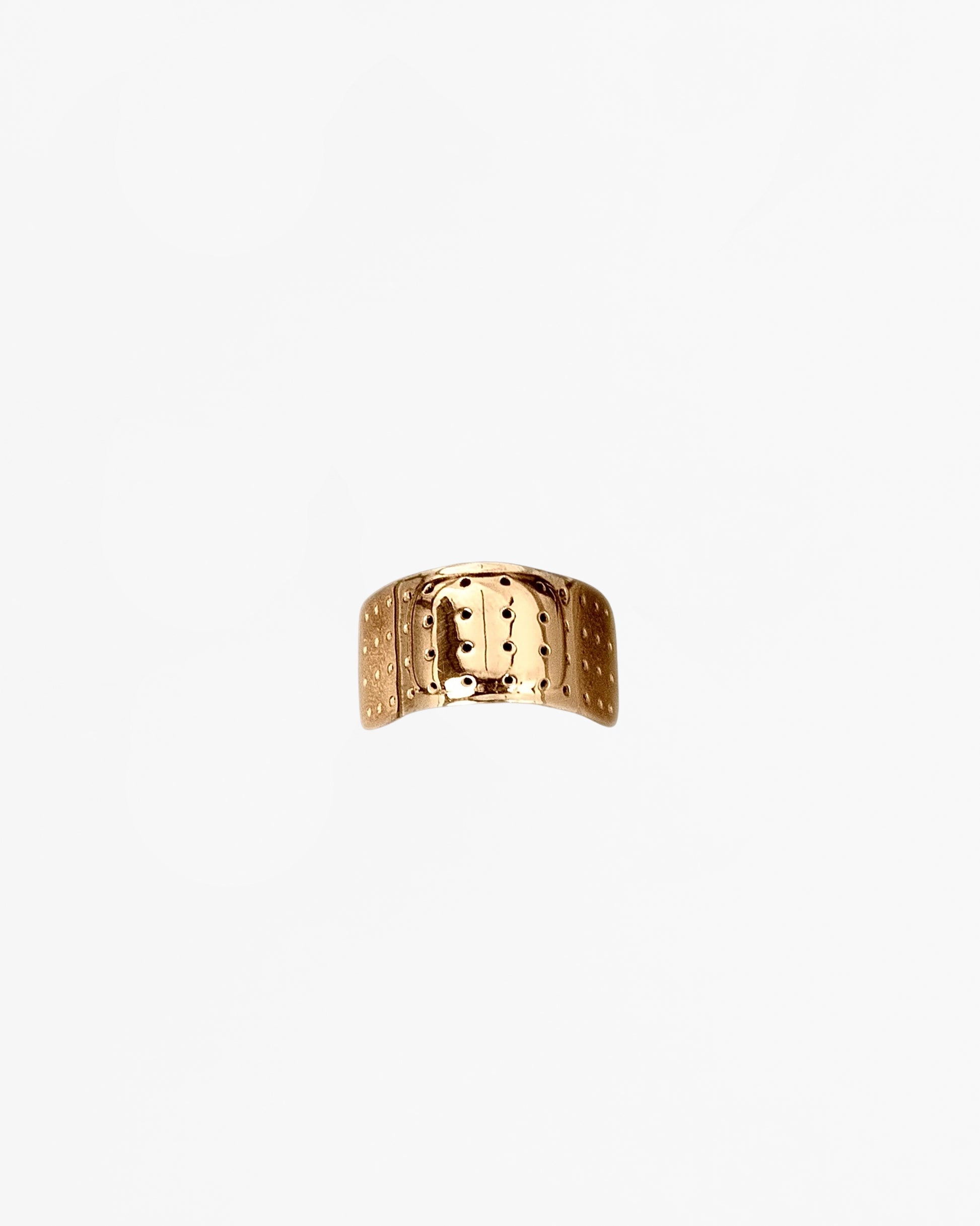 Alan Crocetti mini nose plaster jewellery gold vermeil