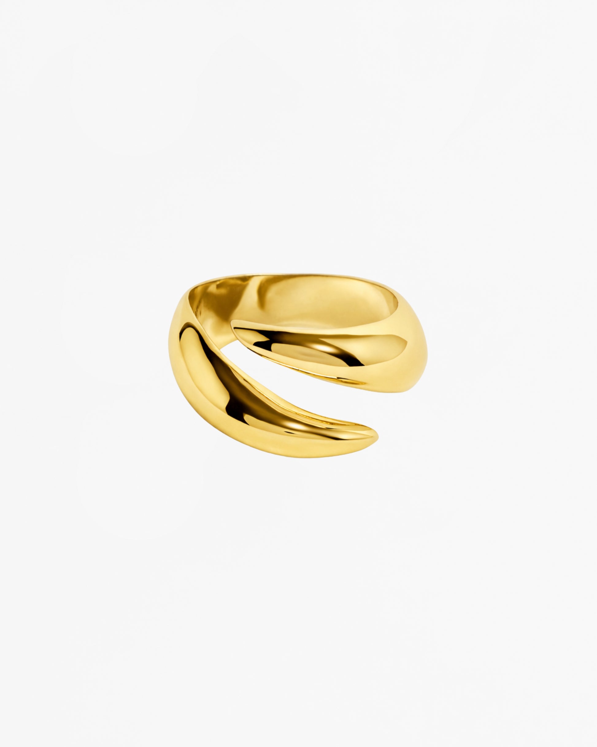 Raptor Ring