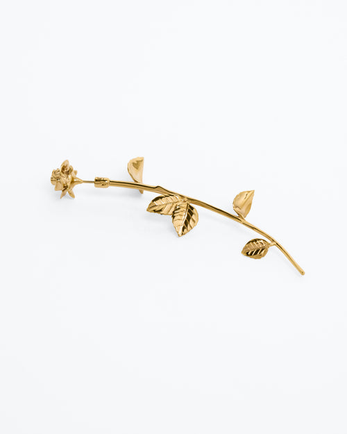 Alan Crocetti Wild Rose Earring in gold vermeil front view
